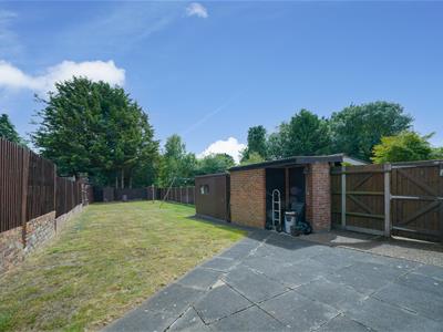 Picture 20